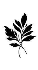 Fototapeta premium Black Silhouette of Minimalist Botanical Leaf Branch on White Background