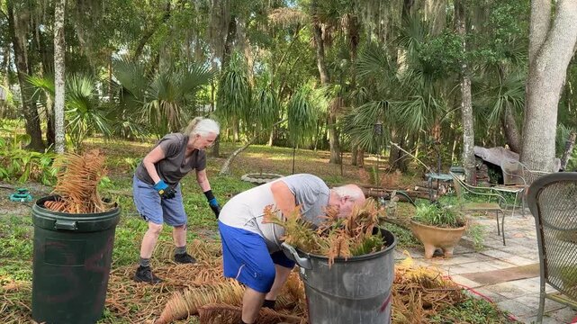 Senior couple breaks dead Norfolk pine branches into backyard trash can