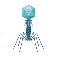 Obraz premium Bacteriophage T2 Virus Isolated on Transparent Background