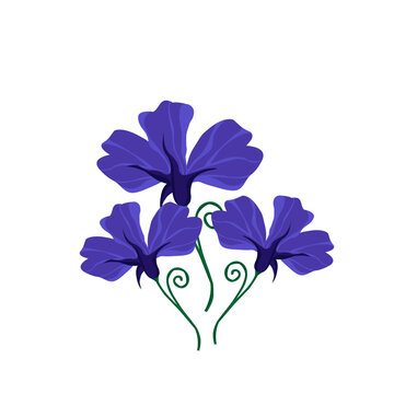 Beautiful talang flower illustration featuring elegant tropical botanical details and natural floral aesthetics.