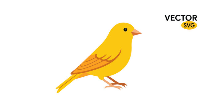 Cute Yellow Canary Bird Vector Illustration