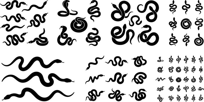 Black Snake Silhouette Vector Collection with Coiled Crawling and Curled Reptile Icons for Tattoo and Symbol Design