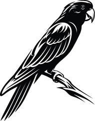 Obraz premium Black and white vector silhouette illustration of a tropical parrot