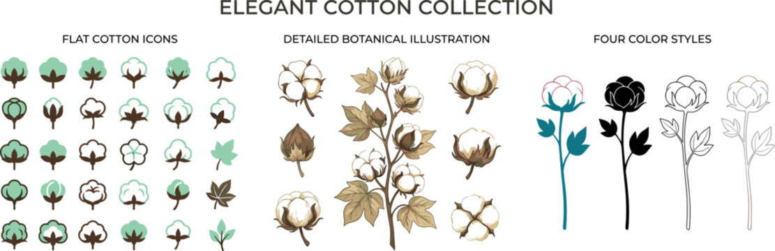 Elegant Cotton Plant Vector Collection with Flat Icons Detailed Botanical Illustration and Four Color Style Designs for Nature