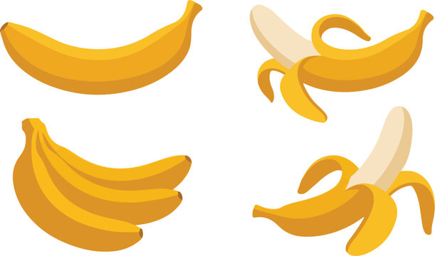 Four yellow bananas whole and peeled illustration with tropical potassium supermarket agriculture