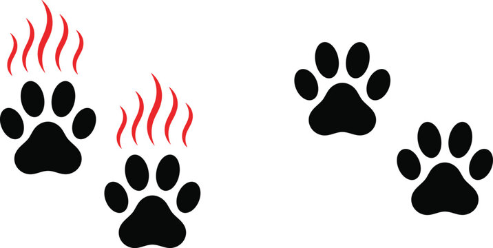 Animal paw print black silhouettes vector set with red fire flame elements isolated on white background for wild wolf monster graphic decoration design.