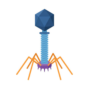 Bacteriophage T2 Virus Isolated on Transparent Background