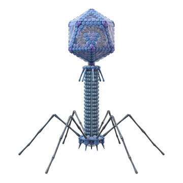 Bacteriophage T2 Virus Isolated on Transparent Background