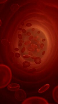 Microscopic view of red blood cells flowing through a vessel in a biological environment.