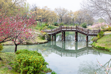Fototapeta premium Wooden bridge in the garden