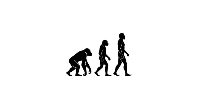 Evolutionary illustration depicting the stages of human development, from ape to modern human form