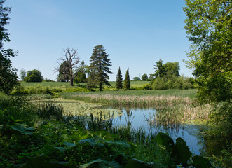 Fototapeta premium A Lake With Trees