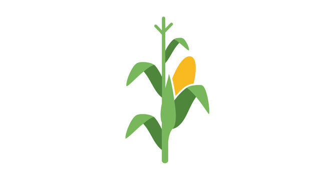 A vibrant illustration of a stylized cornstalk plant with a detailed design on white background