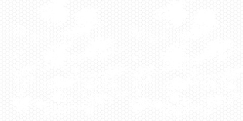 Fishing or soccer net. Repeated hexagon pattern. Black wired mesh texture isolated on white background. © Hendra