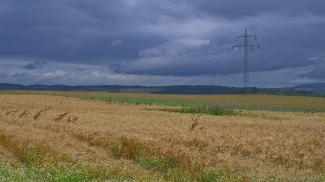 Getreidefeld unter einem bew&ouml;lkten Himmel mit dominierenden &Uuml;berlandleitungen, Sommer, Germerode, Geo Naturpark Frau-Holle-Land, Hoher Meissner, Hessen, Deutschland