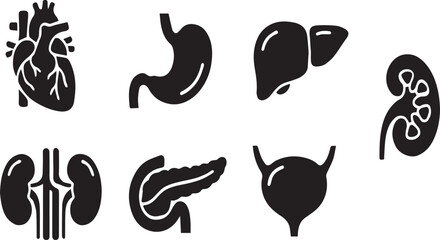 Obraz premium Human organ icons set heart stomach liver kidney pancreas lung and bladder
