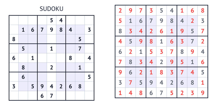 Sudoku puzzle grid with solution and blank playing board  