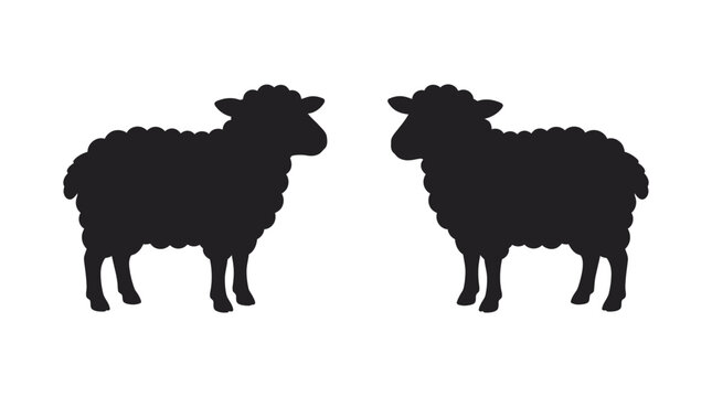 Sheep silhouettes against a white background simple farm animal shapes