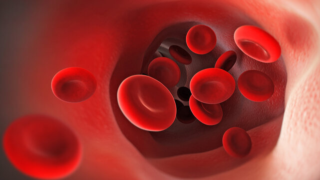 Blood cells