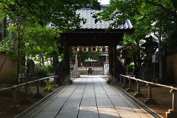Fototapeta premium 新井薬師 梅照院の参道と山門が続く静かな寺院風景 Serene pathway and temple gate at Arai Yakushi Baishouin in Tokyo 