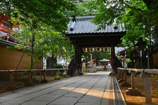 新井薬師 梅照院の参道と山門が続く静かな寺院風景
Serene pathway and temple gate at Arai Yakushi Baishouin in Tokyo
