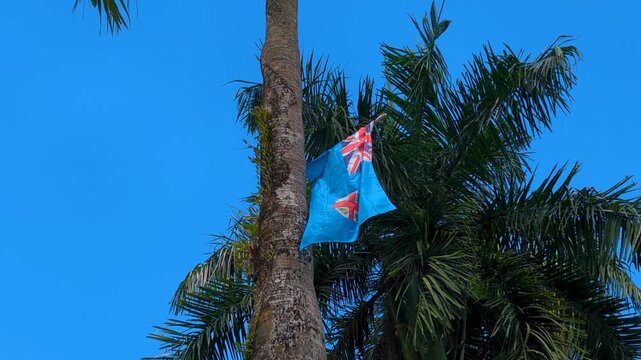 Fiji flag on coconut palm tree moving in gentle breeze in capital city of Suva, Fiji
