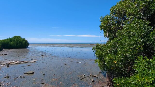 Coastal landscape view of mangroves at low tide ocean in capital city Suva, Fiji in South Pacific