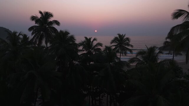 Aerial sunset reveal over tropical palm trees in Gokarna, serene evening in India