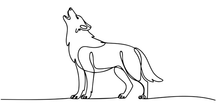 Continuous single drawn one line wild wolf, Continuous one line drawing of wolf animals concept single line outline vector design, wolf dog dangerous head one line art design vector, wolf one line art