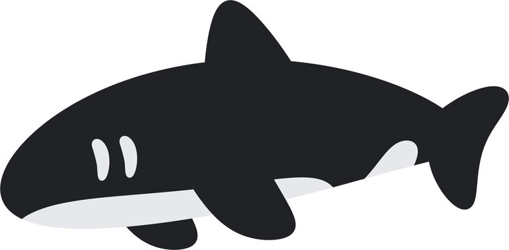 dolphin vector illustration
