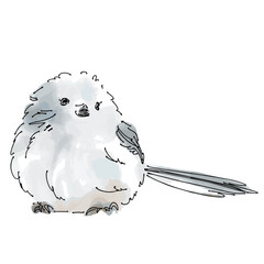 Cute Fluffy Shimaenaga Long-tailed Tit Watercolor Sketch Illustration on White Background © kei