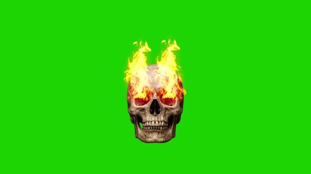 A burning skull with flames on fire against a green background screen