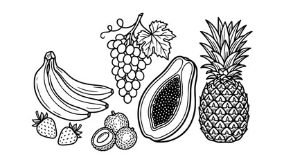 Bold Tropical Fruit Line Art Vector Illustration for Food Design © abdul