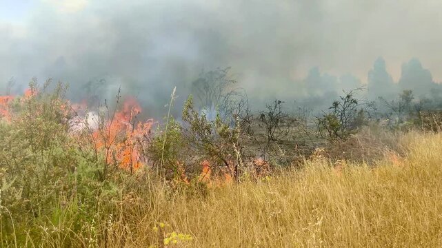 Campo ardiendo sin control de bomberos. Falta de bomberos 