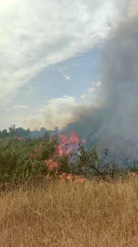 Fuego sin bomberos par apagarlo 