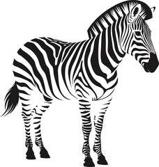 Obraz premium Black and white zebra, striped animal, wildlife illustration, vector graphic