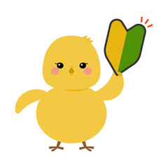 初心者マークを持つヒヨコ © ゴエママ