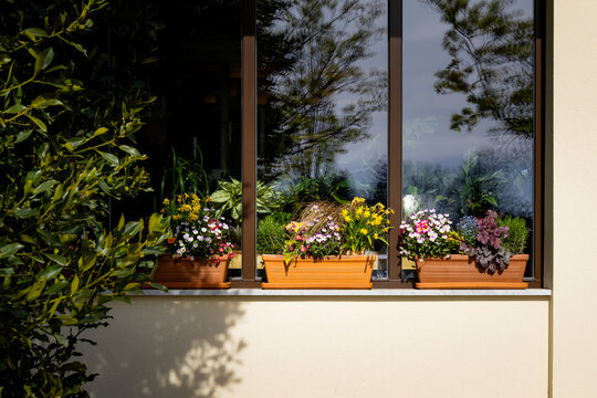 bright terracotta window boxes with vibrant spring flowers. planters with spring flowers sit on window sill. warm inviting home exterior