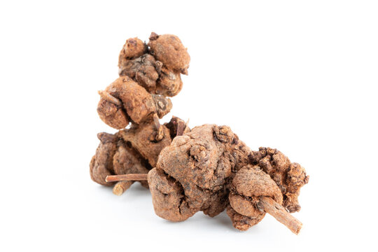 Xiaoliu Fruit (Hypericum Patulum Gall) Folk Herbal Medicine