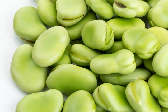 Fresh Tender Broad Beans Produced in Rural Shanghai in Spring
