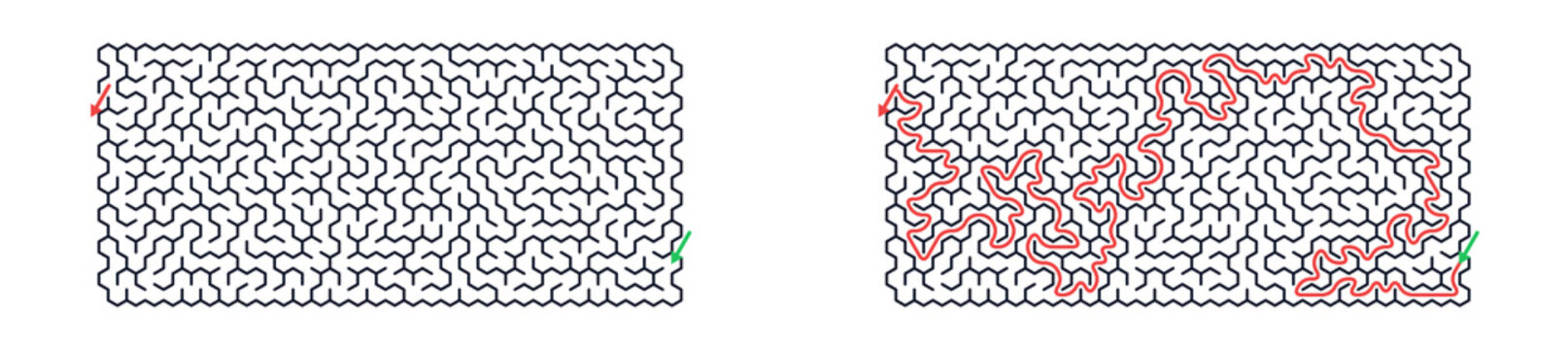 Maze puzzle showing path from start to finish with solution  