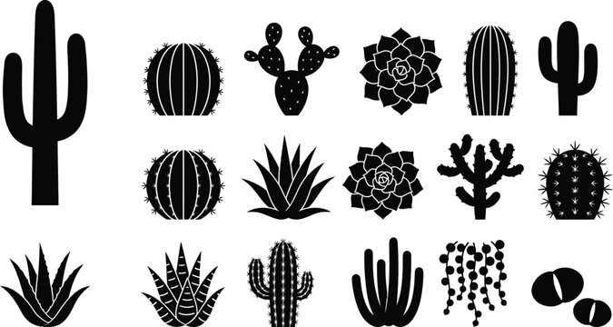 Cactus icon collection silhouette