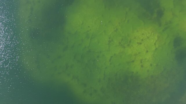 4K aerial video showing Cosmeston Lake with water beside a woodland edge in bright natural light.