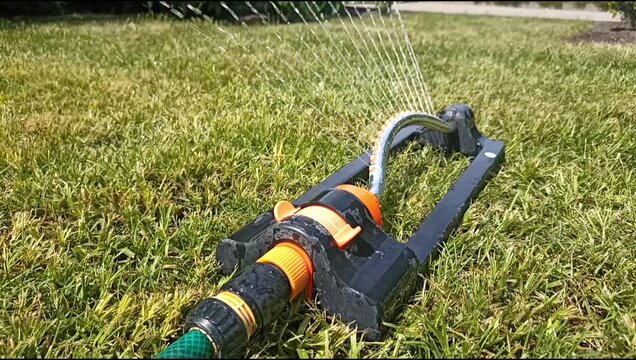 Close up of an oscillating lawn sprinkler spraying water on fresh green grass in a summer garden. Automatic irrigation system watering backyard lawn outdoors on a sunny day.