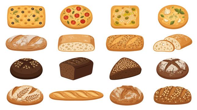 Variety of Baked Bread Types.