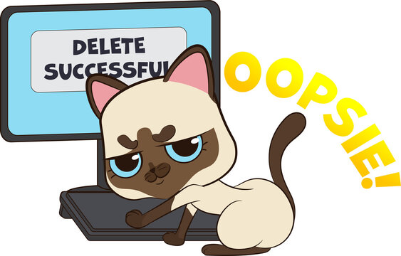 siamese cat  accidentally deletes files on computer