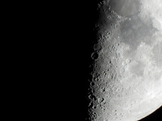 Luna © Steve Fossiant