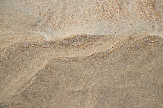 A natural sandy background with soft wavy patterns created by the wind on the surface of the beach. Minimalist natural texture in warm beige shades for design, backgrounds and photo stocks. High