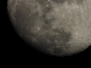 Luna © Steve Fossiant