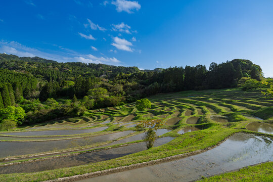 里山風景.田んぼ」の写真素材 | 16,623件の無料イラスト画像 | Adobe Stock